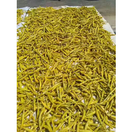 黄花菜多少钱一斤、台州黄花菜、黄花菜合作社原产地