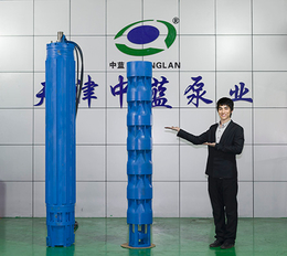 热水井用潜水泵质量高的天津井用泵制造厂