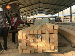 工程辐射松建筑木材-日喀则地区辐射松建筑木材-日照鼎泰丰木业