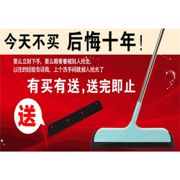 揭阳abs塑料吸水拖把,秀慧清洁用品公司