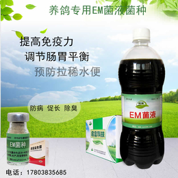  给鸽子饮水用的em菌液批发价多少钱