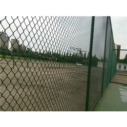 球场围栏网|河北华久|球场围栏网哪里有