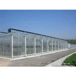 【富农温室】(图),郑州玻璃大棚搭建厂家,玻璃大棚
