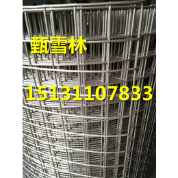 北京镀锌电焊网 天津粉刷墙壁铁丝网生产工艺缩略图