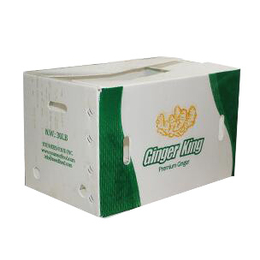 大姜包装箱生产|塔城包装箱|潍坊市弘特包装