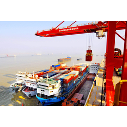 中国到新西兰的海运专线 送货*