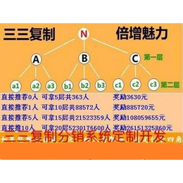 长春双轨系统软件开发联盟商家返利级差商城定制