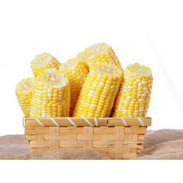 收购玉米的公司-汉光现代农业有限公司-广西求购玉米