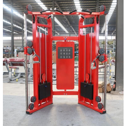 小飞鸟综合训练器龙门架拉力器力量组合大飞鸟健身房商用器械