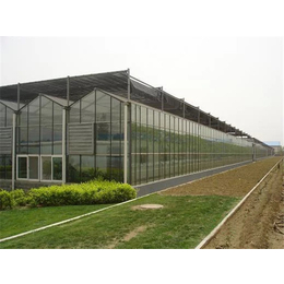 洛阳玻璃大棚建材、【富农温室】、玻璃大棚