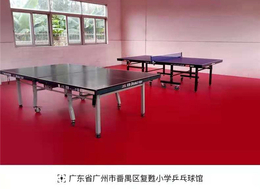 乒乓球塑胶地板-耐福雅-乒乓球塑胶地板安装