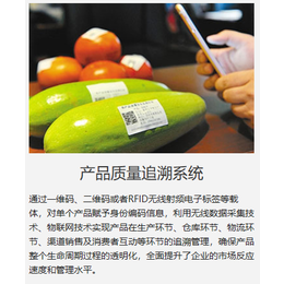 华智SAP 食品辅料ERP软件 食品添加剂SAP系统解决方案