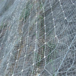 边坡防护钢丝绳网-西安钢丝绳网-钢丝绳边坡网