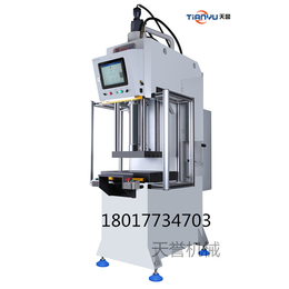 伺服液压机 找天誉 精密制造 价格优惠