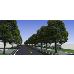 农梦达生物公司(图)|城市行道树|汉南行道树