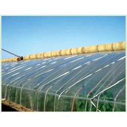 日光温室承建-鑫和温室园艺(在线咨询)-山东日光温室