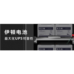 伊顿蓄电池ETNHF12-320W 12v90AH含税