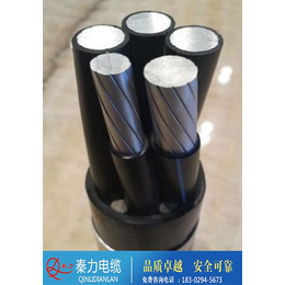 陕西电缆厂(图)|铝合金电缆型号|安康铝合金电缆