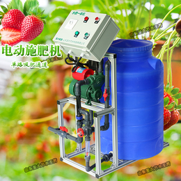 黑龙江水肥一体化投入 经济实惠的手动施肥机草莓种植简单好操作缩略图