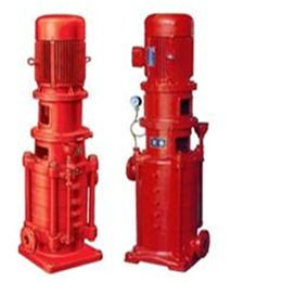 河北华奥水泵|济源消防泵|xbdzx自吸消防泵