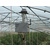 农业智能灌溉系统,兵峰、农业监测,农业智能灌溉系统软件缩略图1