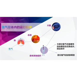 山西氢雨面膜机|氢雨面膜机厂家|广州中氢能源(推荐商家)