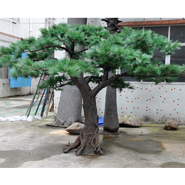假树制作价格-合肥旭卉(在线咨询)-安徽假树