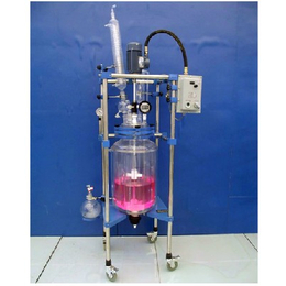 玻璃反应釜_南京炳辉仪器仪表公司_玻璃反应釜类型
