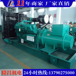 小型柴油发电机|隆昌机电|永州柴油发电机