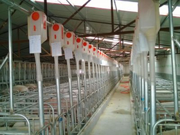 自动化养殖设备销售-池州养殖设备-潍坊双联机械有限公司