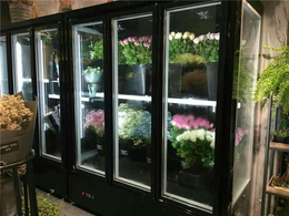 呼伦贝尔鲜花展示柜-达硕制冷设备生产-鲜花展示柜品牌