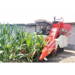 湖南省玉米收获机品牌玉米收获机****率玉米收割机