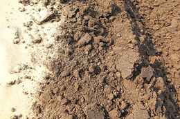 粉状有机肥-日照有机肥原料加工-粉状有机肥生产商