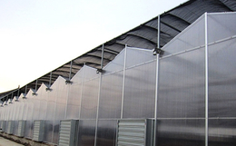 温室大棚骨架|齐鑫温室园艺(图)|阳光板温室大棚骨架