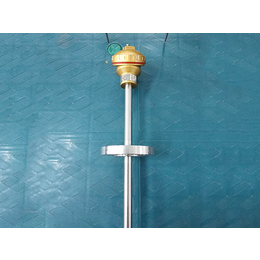 中电天仪(图)-热电阻生产-热电阻