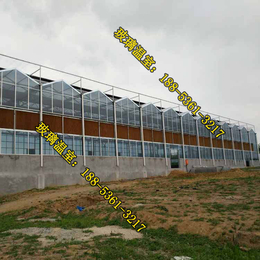 建玻璃温室的厂家|遵义玻璃温室|文洛玻璃温室的维护成本