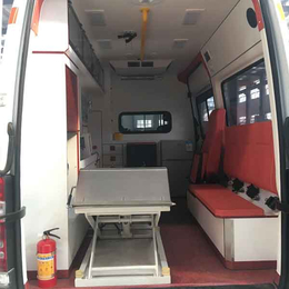 湖州急救车升降机-金力机械服务保障-急救车升降机定制