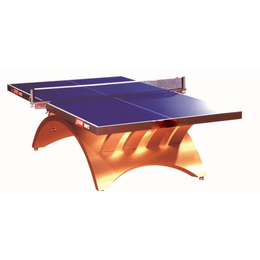 益泰体育公司(图),玻璃钢乒乓球台厂家*,武威乒乓球台