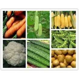 祥茂膳食(图)-食堂蔬菜配送-越秀蔬菜配送