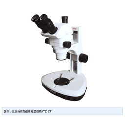 大底座体视显微镜_天津莱试_显微镜