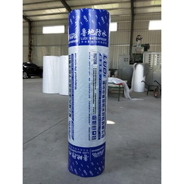 鲁地防水材料(图)-聚乙烯丙纶防水材料报价-拉萨聚乙烯丙纶