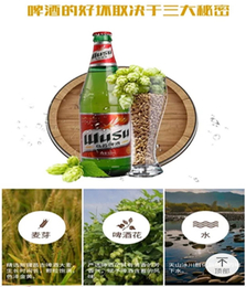小罐扎啤-南京阿朗斯特酒业-黄山扎啤