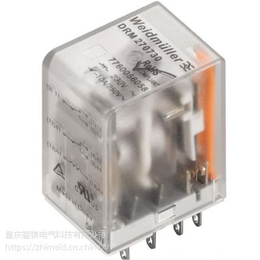 批量供应 电气配件 继电器DRM570048L
