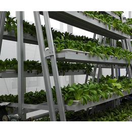水动力旋转蔬菜种植塔生产厂家-泓稷科技栽培槽