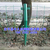公路护栏网 框架铁丝网包塑绿色防锈围栏 建筑厂区防护网厂家缩略图4