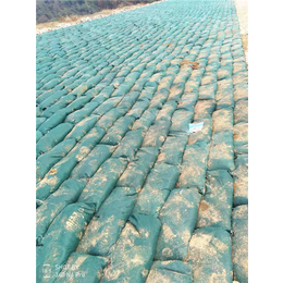 土工石生态袋-漯河生态袋-生态袋施工(查看)