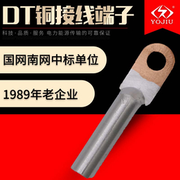 DTL铜铝接线鼻子 185平方铜铝鼻子*