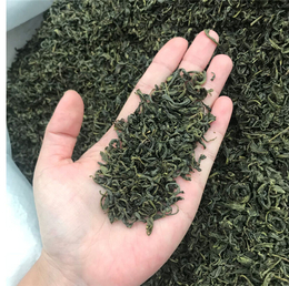 绿茶批发厂家-【峰峰茶业】价格实惠-建德绿茶批发