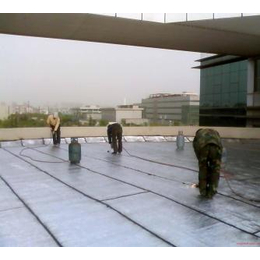 苏州吴中区房屋漏水维修公司屋顶漏水维修方案缩略图