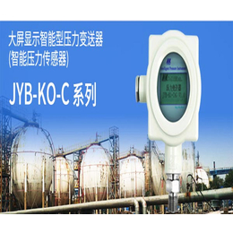 北京无线温湿度传感器价格、北京无线温湿度传感器、*海岸